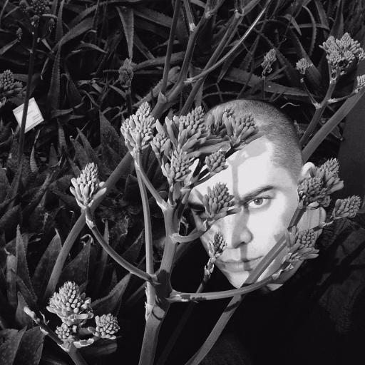 Pablo Monforte - Auteur