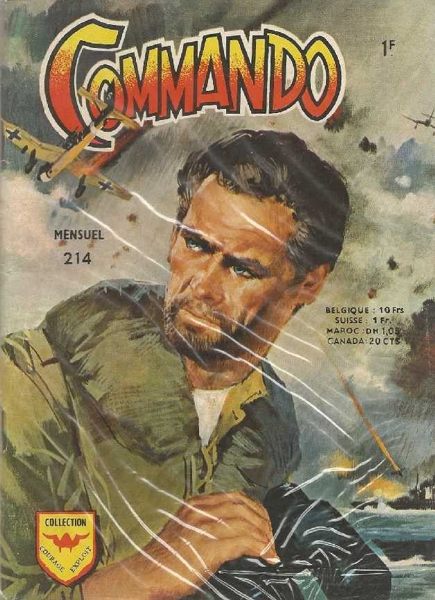 Les Flammes du combat