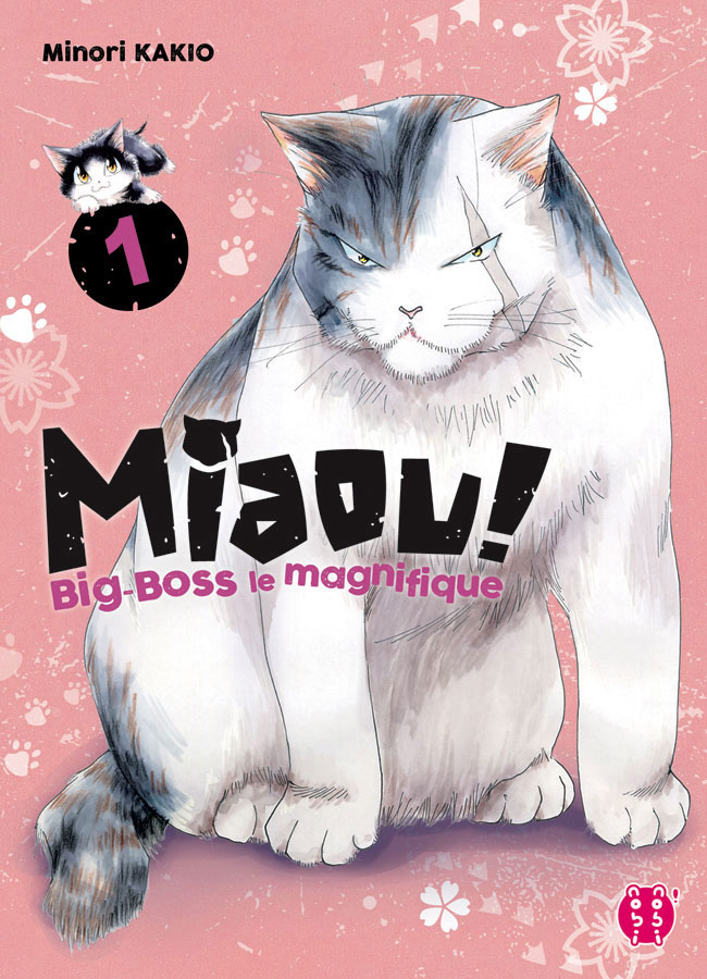 Miaou ! Big-Boss le magnifique 1