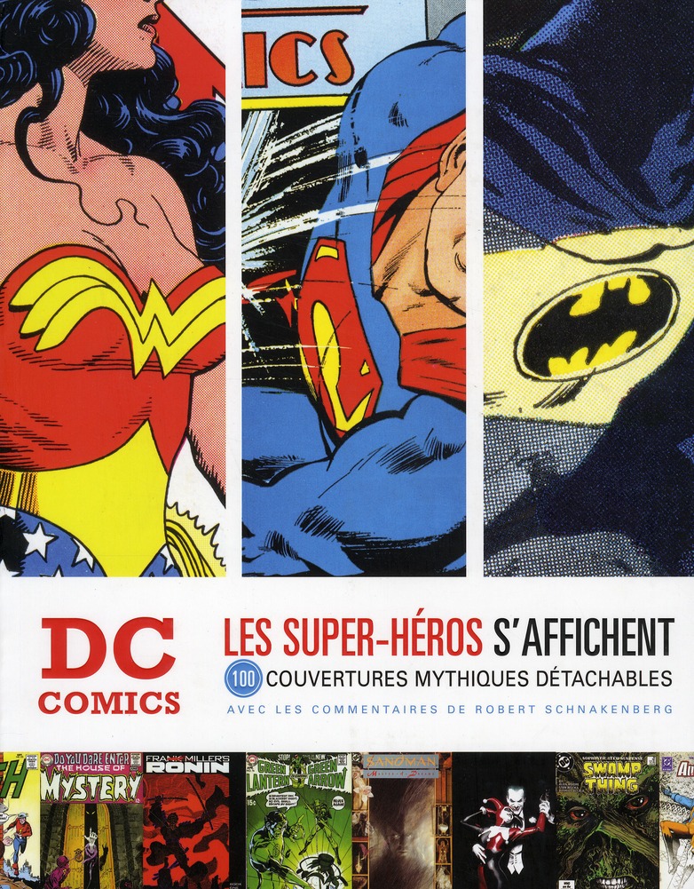 DC Comics - Les Super-héros s'affichent par Joe Shuster, Bob Kane, Paul Pope, John Totleben, Stephen Bissette, Dave McKean, Brian Bolland, Glenn Fabry, Neal Adams, Steve Ditko, Jack Kirby, John Romita Junior, Darwyn Cooke, Jim Lee, Alex Ross, Dave Gibbons, Frank Miller et Robert Schnakenberg - Couverture
