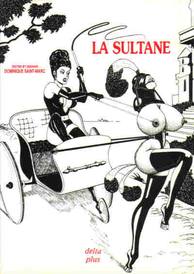 Sultane (La) par Dominique Saint-Marc - Couverture