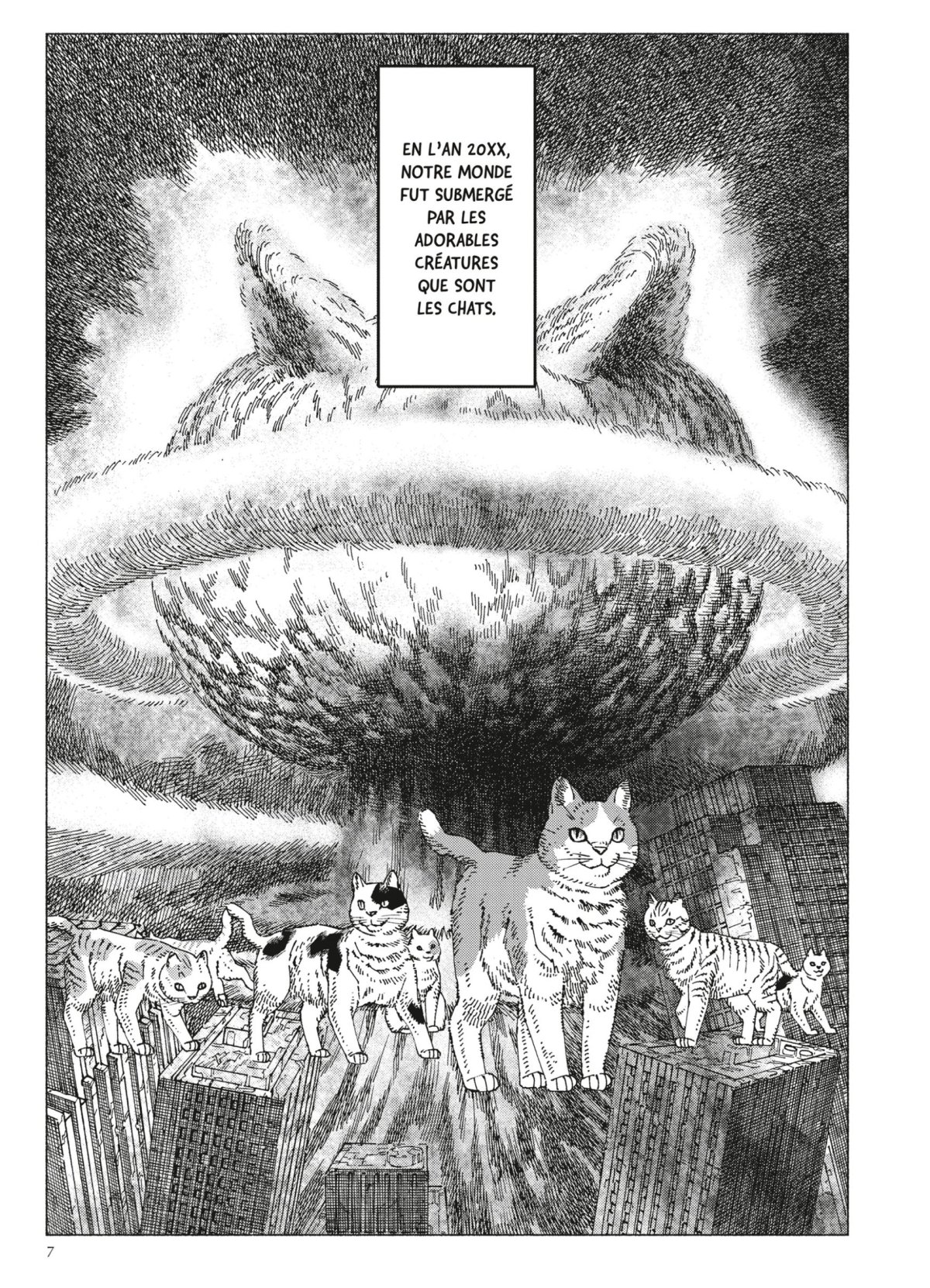 Nyaight of the Living Cat 3 - Extrait 1