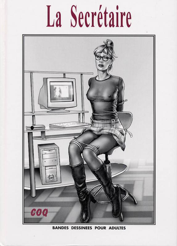 Secrétaire (La) - Série Aventures de Karine (Les) - 9782848070032