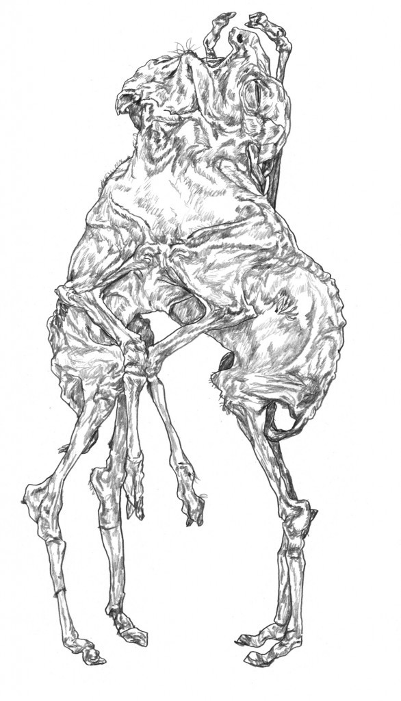 Chats-loups jaloux (Les) - Extrait 1