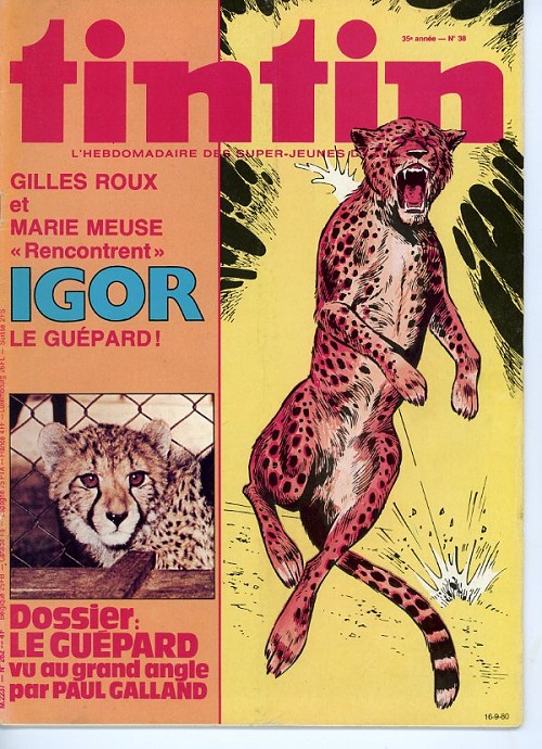 Nouveau Tintin 262