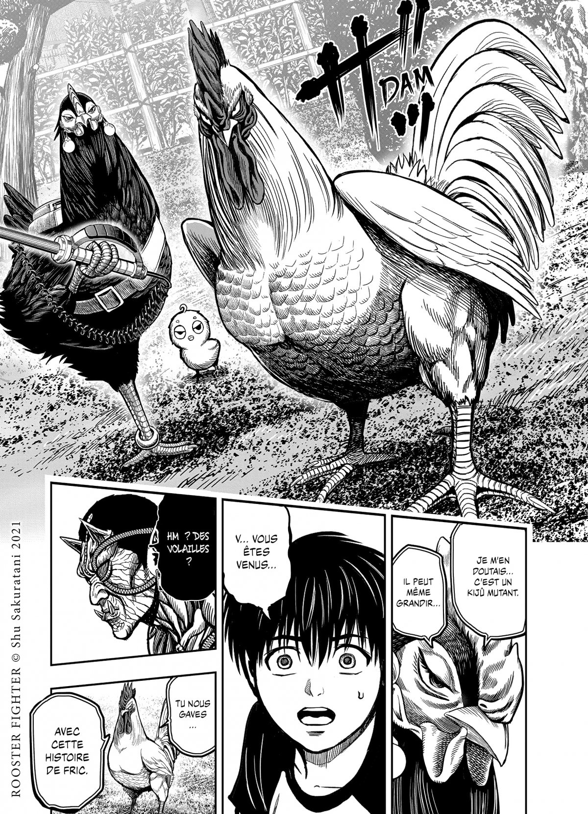 Rooster Fighter - Coq de Baston 2 - Extrait 1