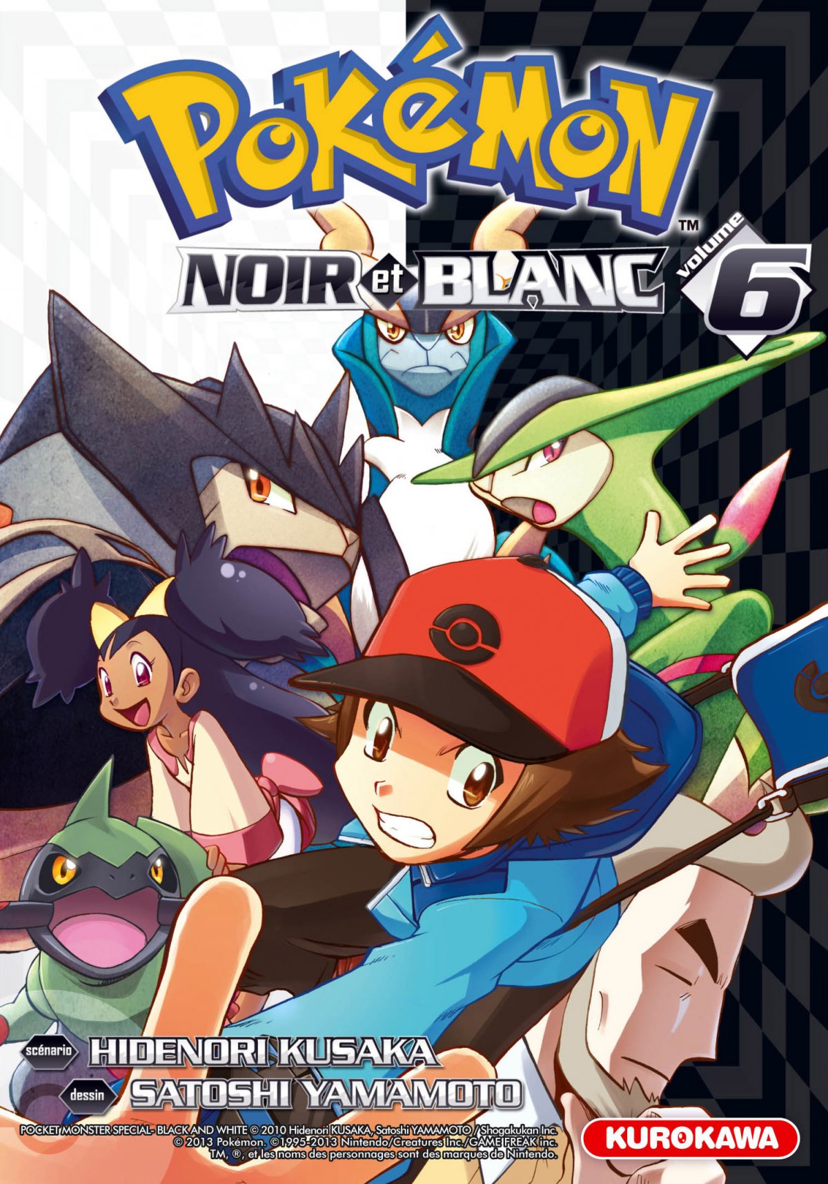 Pokémon Noir et Blanc 6