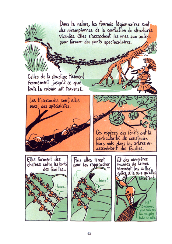 Guerre des fourmis (La) - Extrait 1