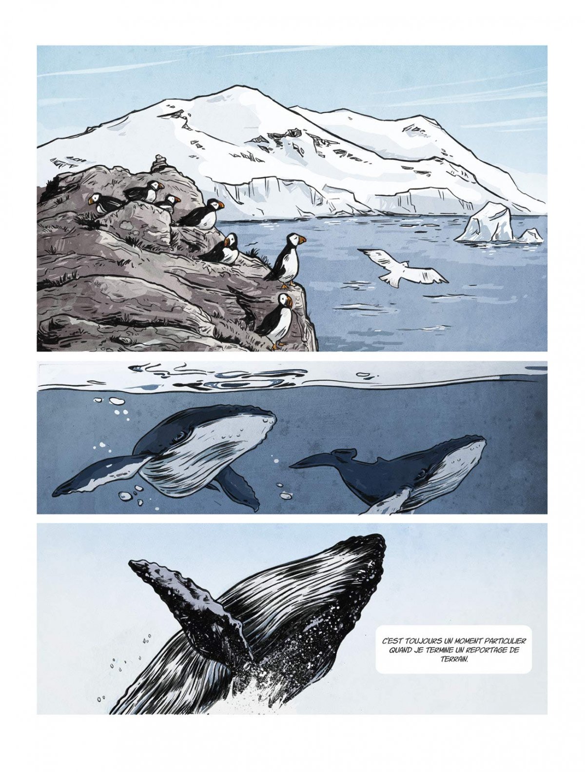 Déforestation (La) - Extrait 1