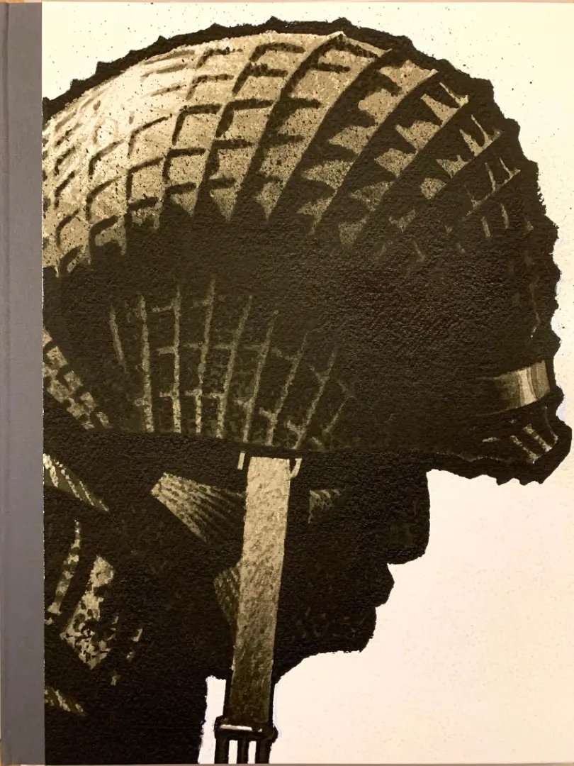 Cinq branches de coton noir