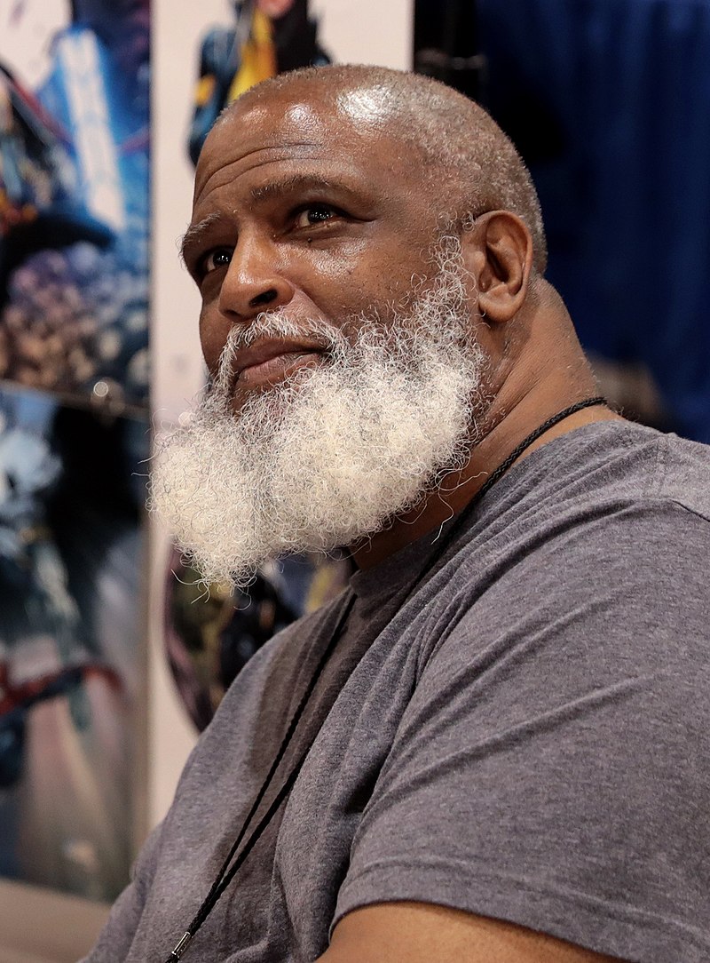 Larry Stroman - Auteur