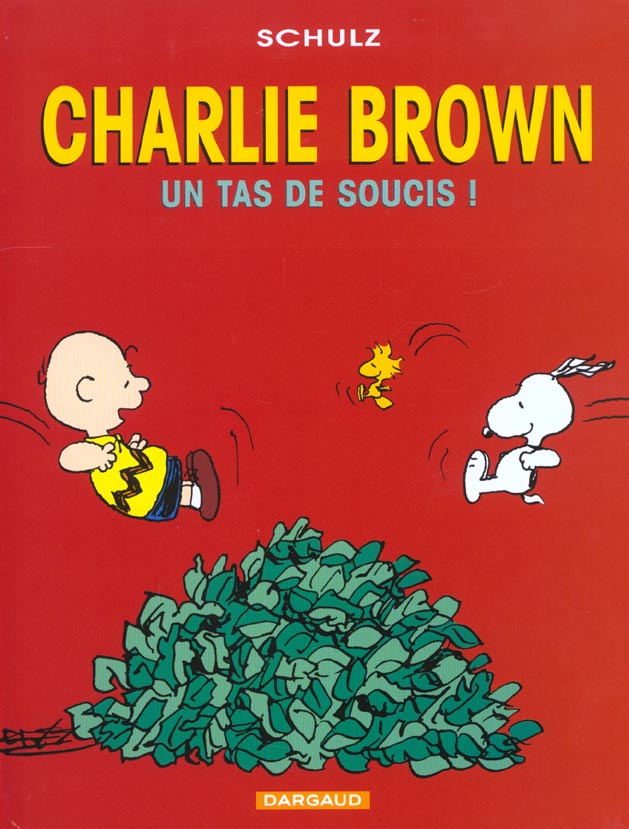 Tas de soucis (Un)