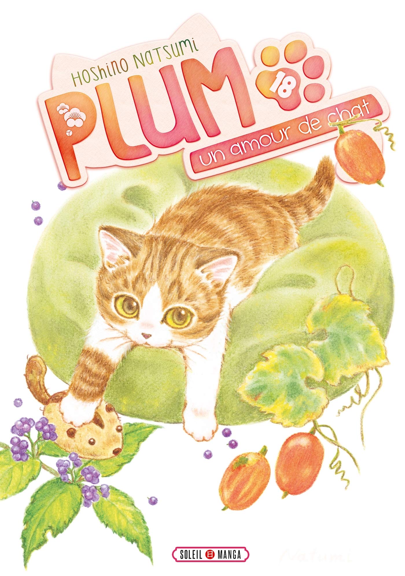 Plum, un amour de chat 18 - Série Plum, un amour de chat par Natsumi Hoshino - Couverture