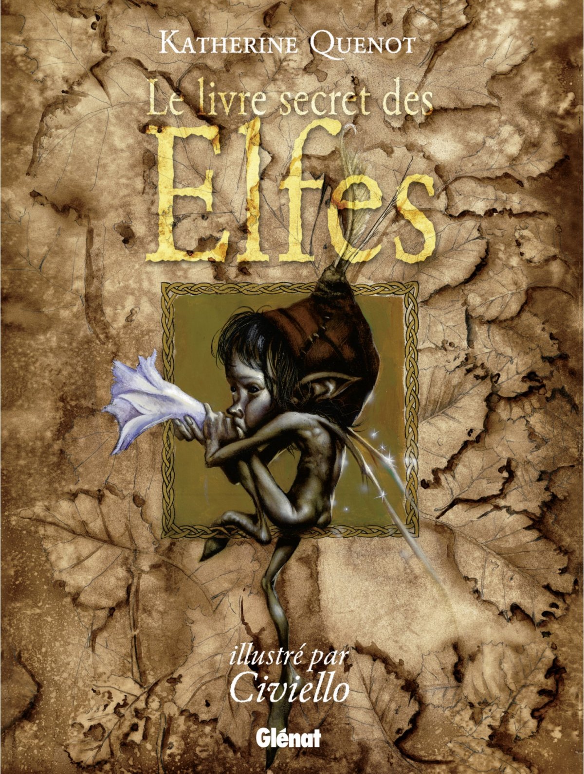 Livre secret des Elfes (Le)