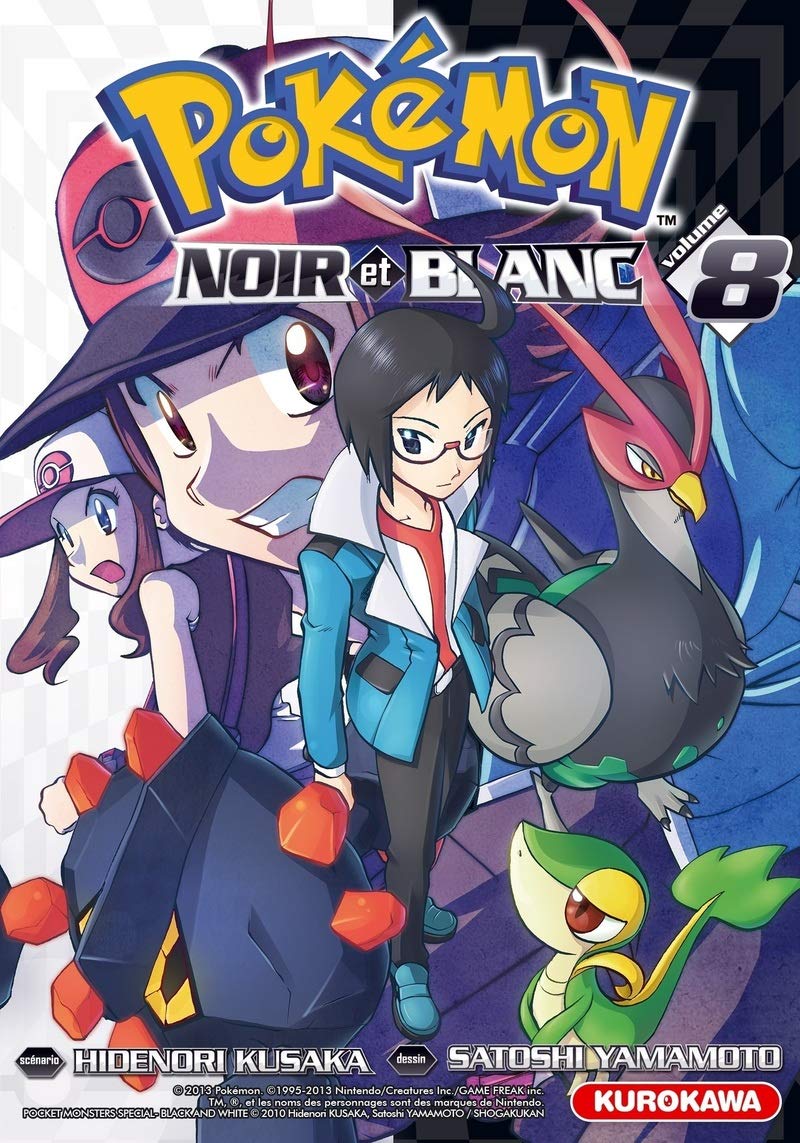 Pokémon Noir et Blanc 8