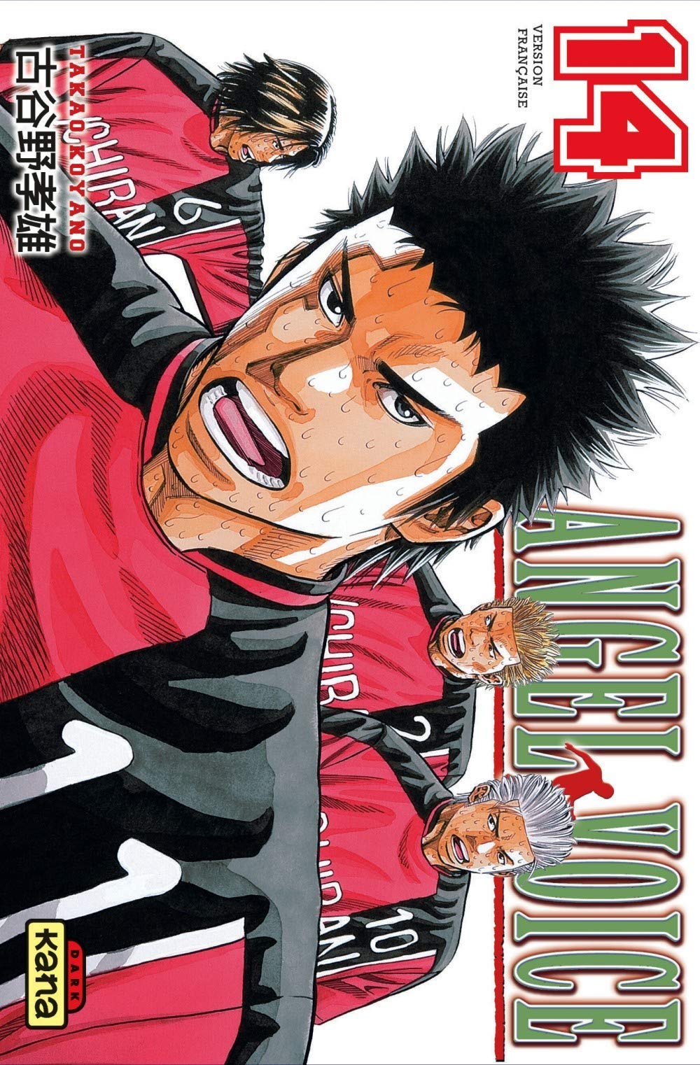 Angel Voice 14
