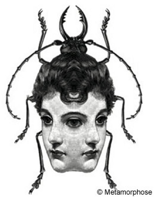 Le musée se transforme