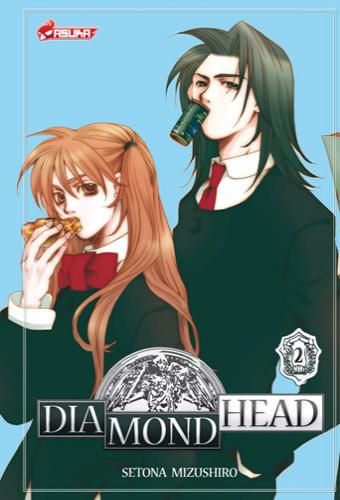 Diamond head 2