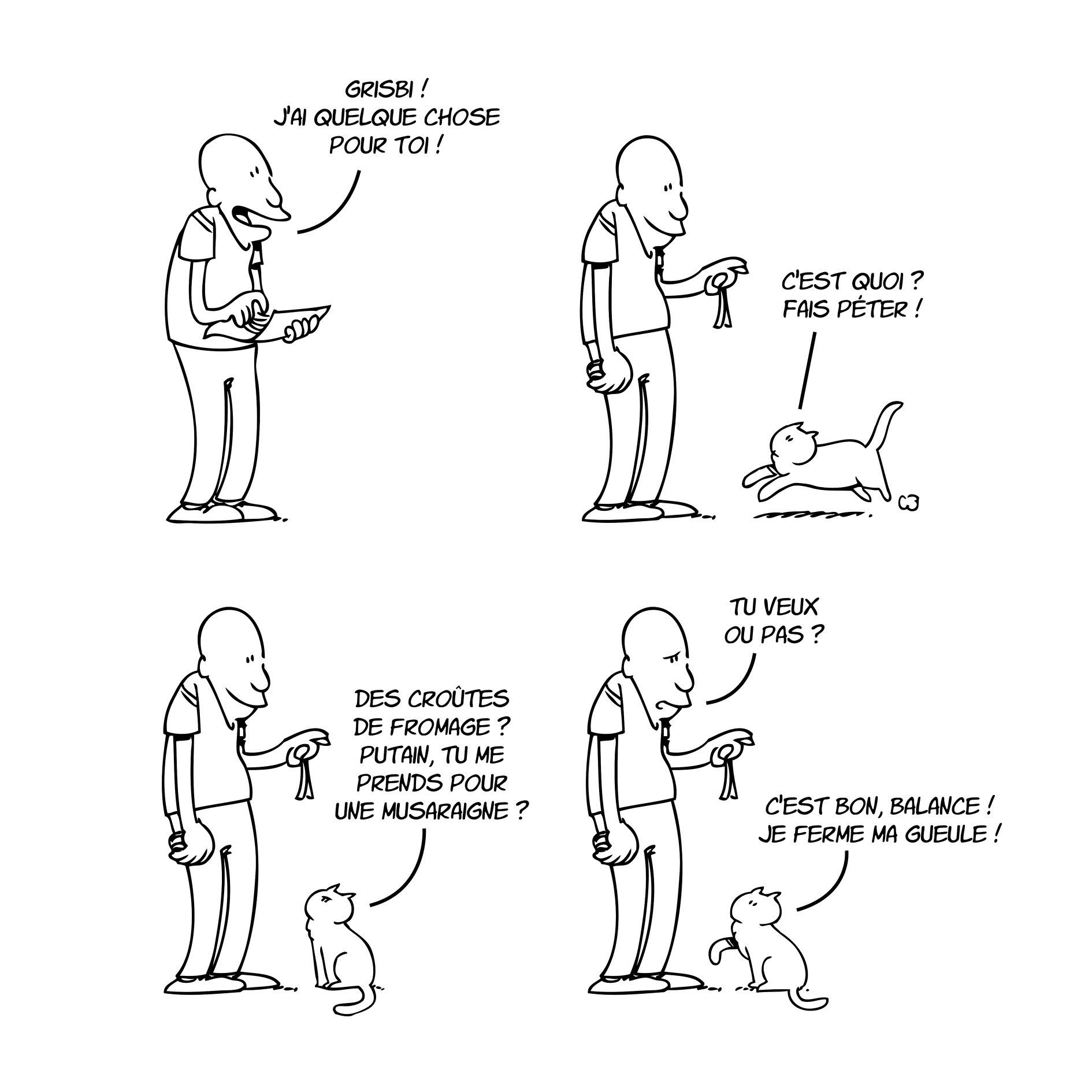 Putain de chat 5 - Extrait 1