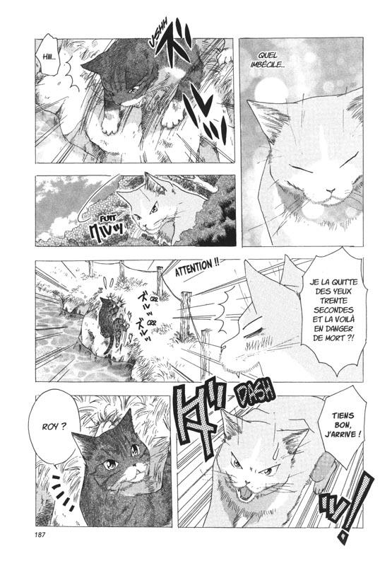 Miaou ! Big-Boss le magnifique 2 - Extrait 1