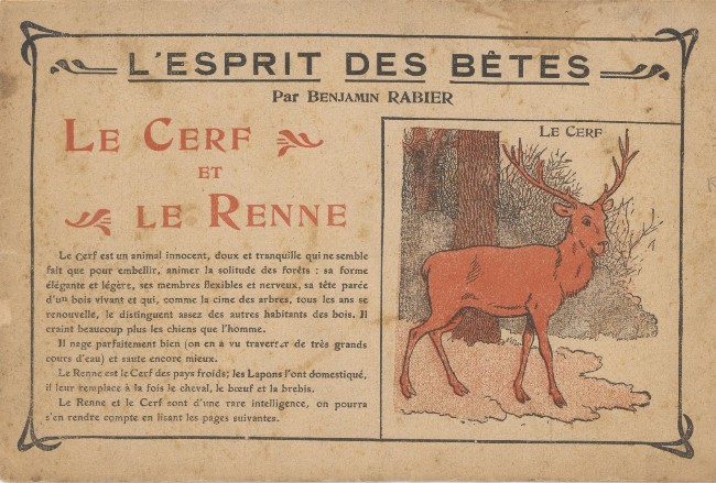 Cerf et le renne (Le) - Série Esprit des bêtes (L') par Benjamin Rabier - Couverture