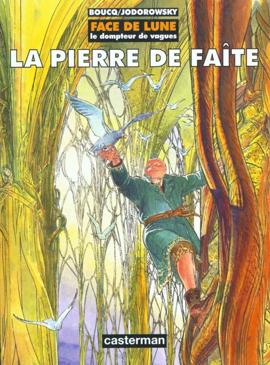 Pierre de faîte (La) - Série Face de Lune - 9782203388789