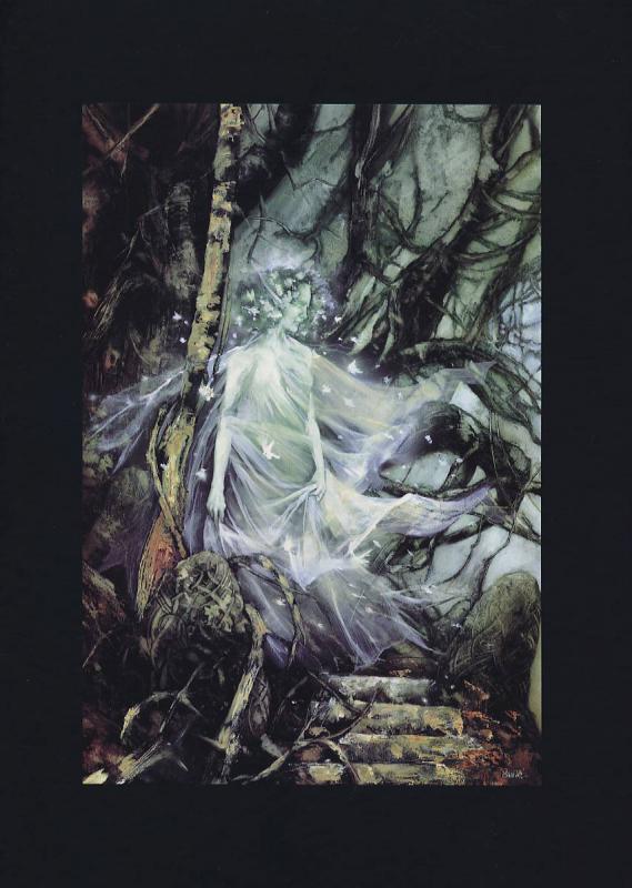 Graine de folie - Intégrale 1 à 4 - 9782840559443