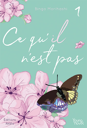 Série Ce qu'il n'est pas