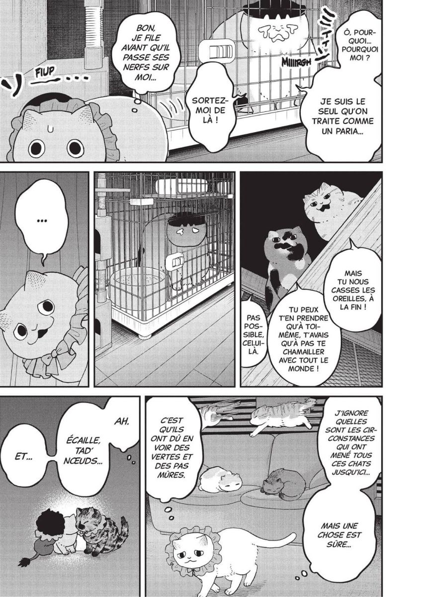 Hachi & Maruru - Chats des rues 6 - Extrait 1