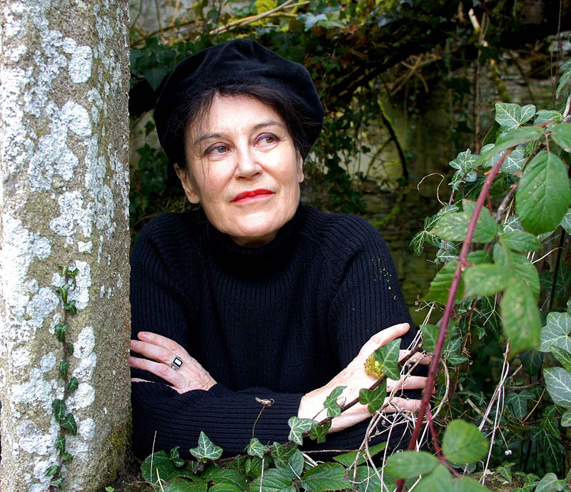Irène Frain - Auteur