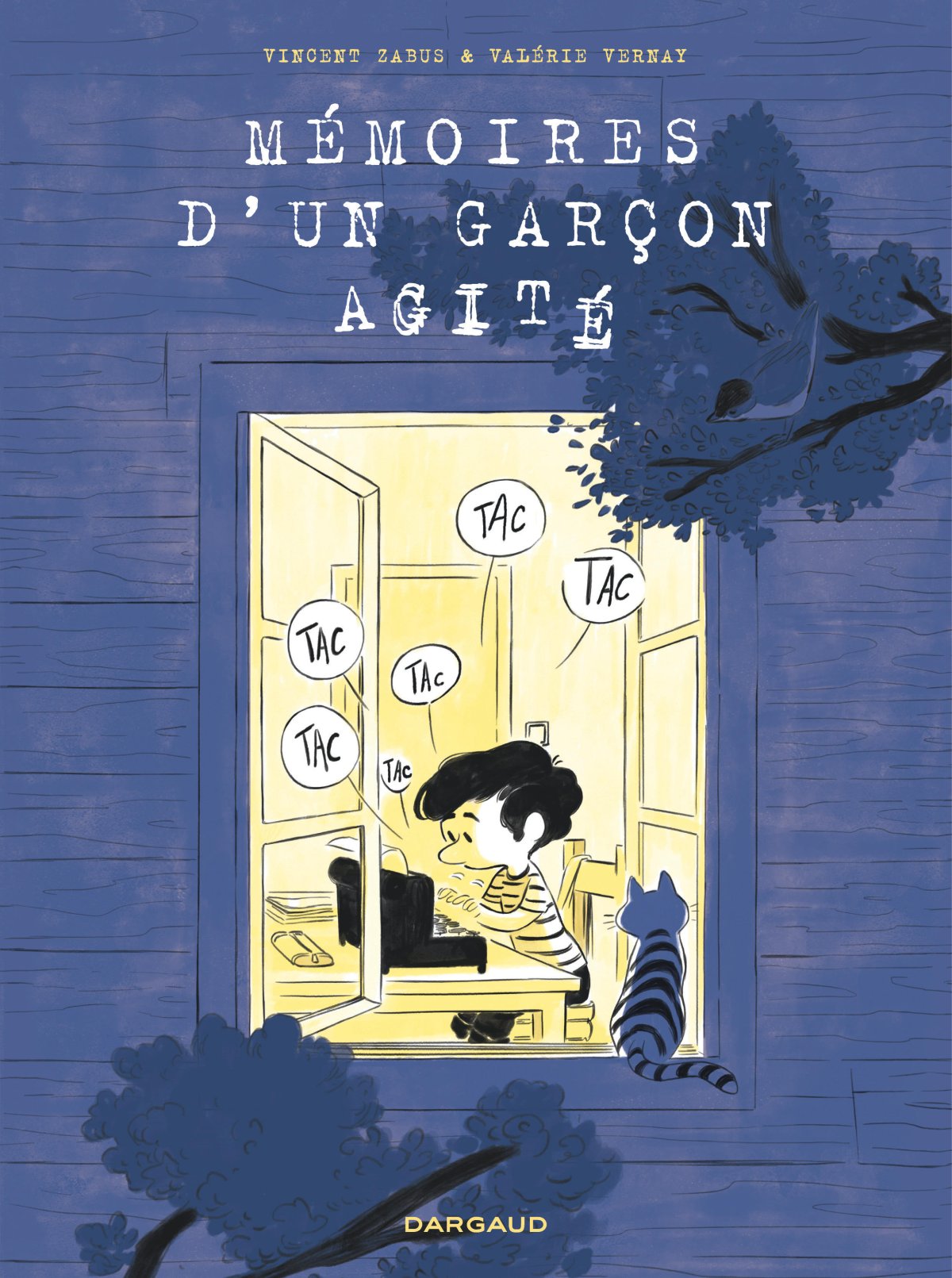 Mémoires d'un garçon agité par Vincent Zabus et Valérie Vernay - Couverture