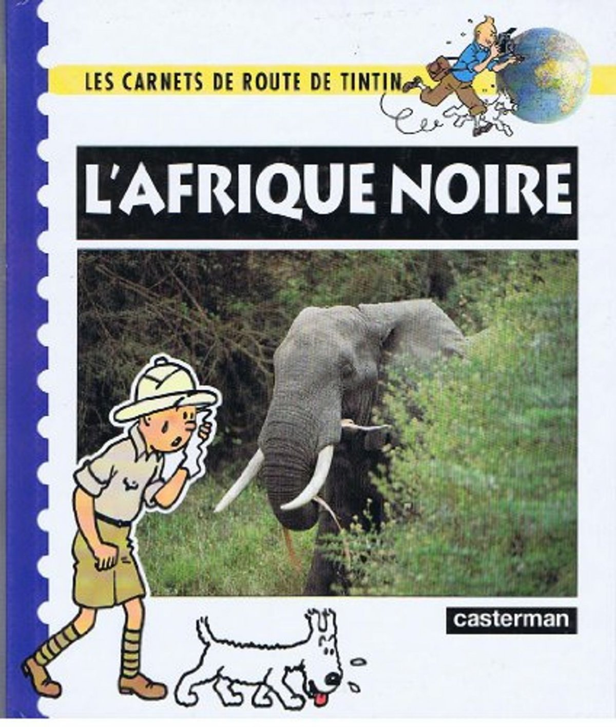 Afrique noire (L')