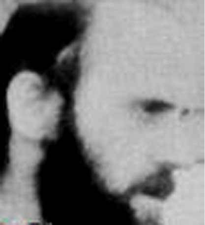 Gianluigi Gonano - Auteur