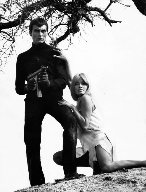John Phillip Law - Auteur