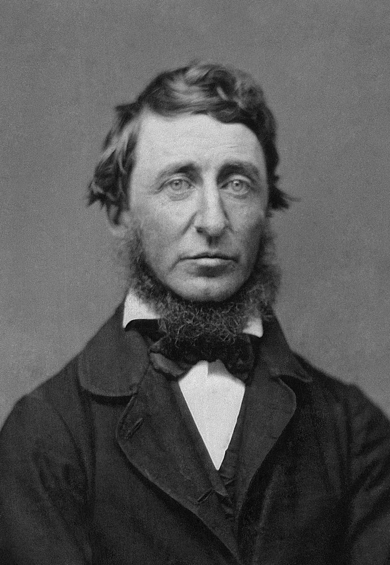 Henry David Thoreau - Auteur