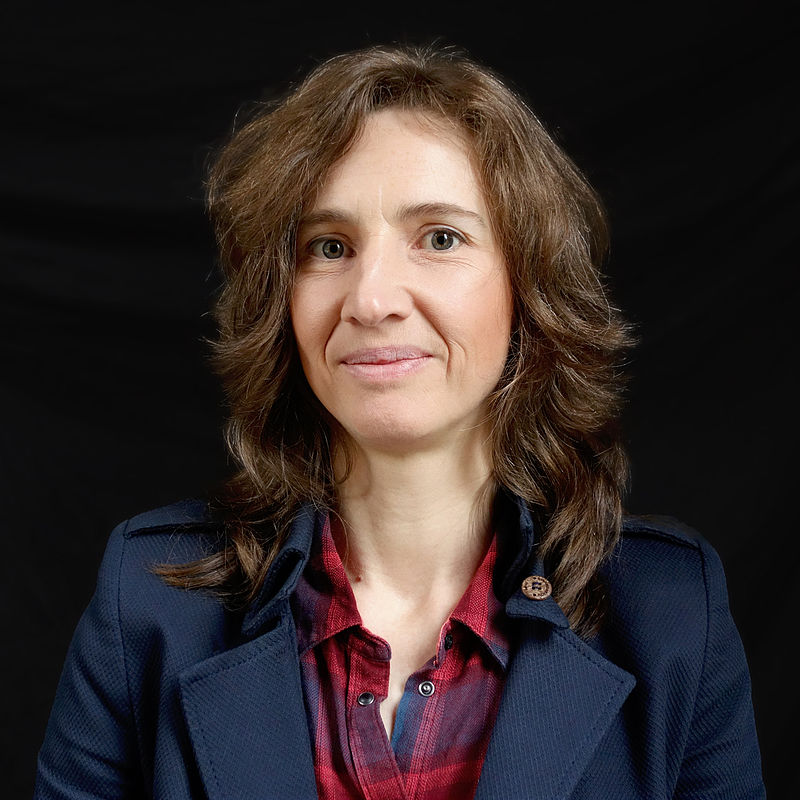 Barbara Stok - Auteur