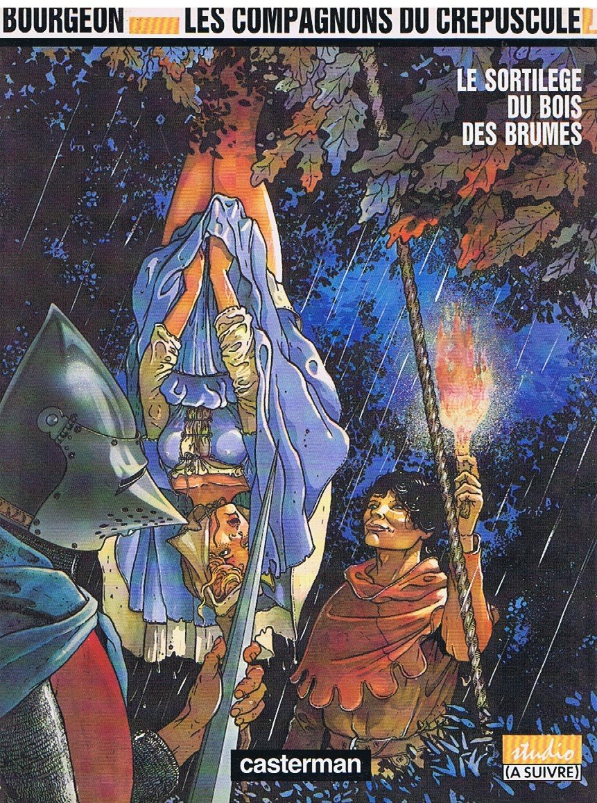 Sortilège du Bois des Brumes (Le) - Série Compagnons du Crépuscule (Les) - 9782203338104