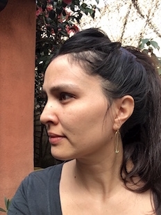 Sandra Desmazières - Auteur