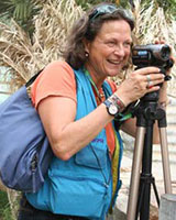 Anne-Sophie Du Bouëtiez - Auteur
