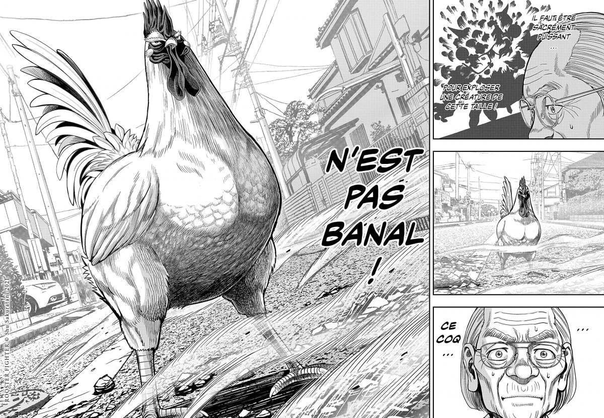 Rooster Fighter - Coq de Baston 1 - Extrait 1