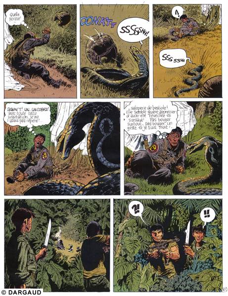 Naufragés de la jungle (Les) - Extrait 1