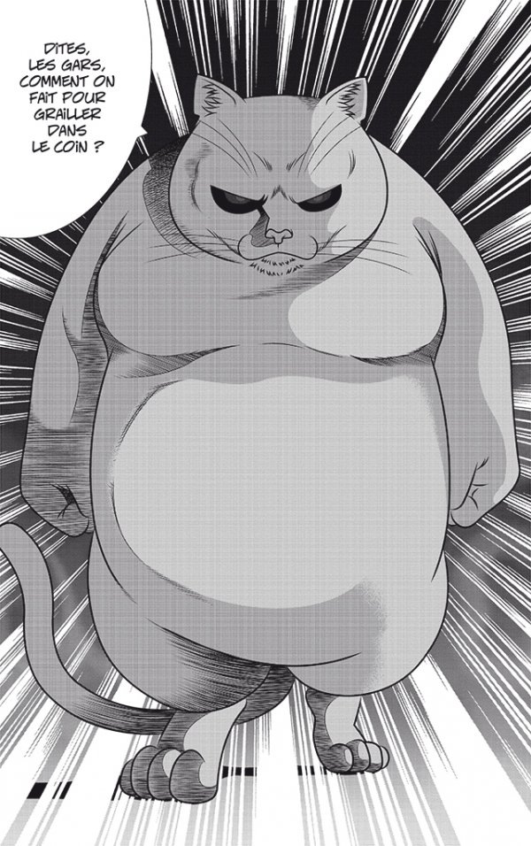 Street Fighting Cat 1 - Extrait 1