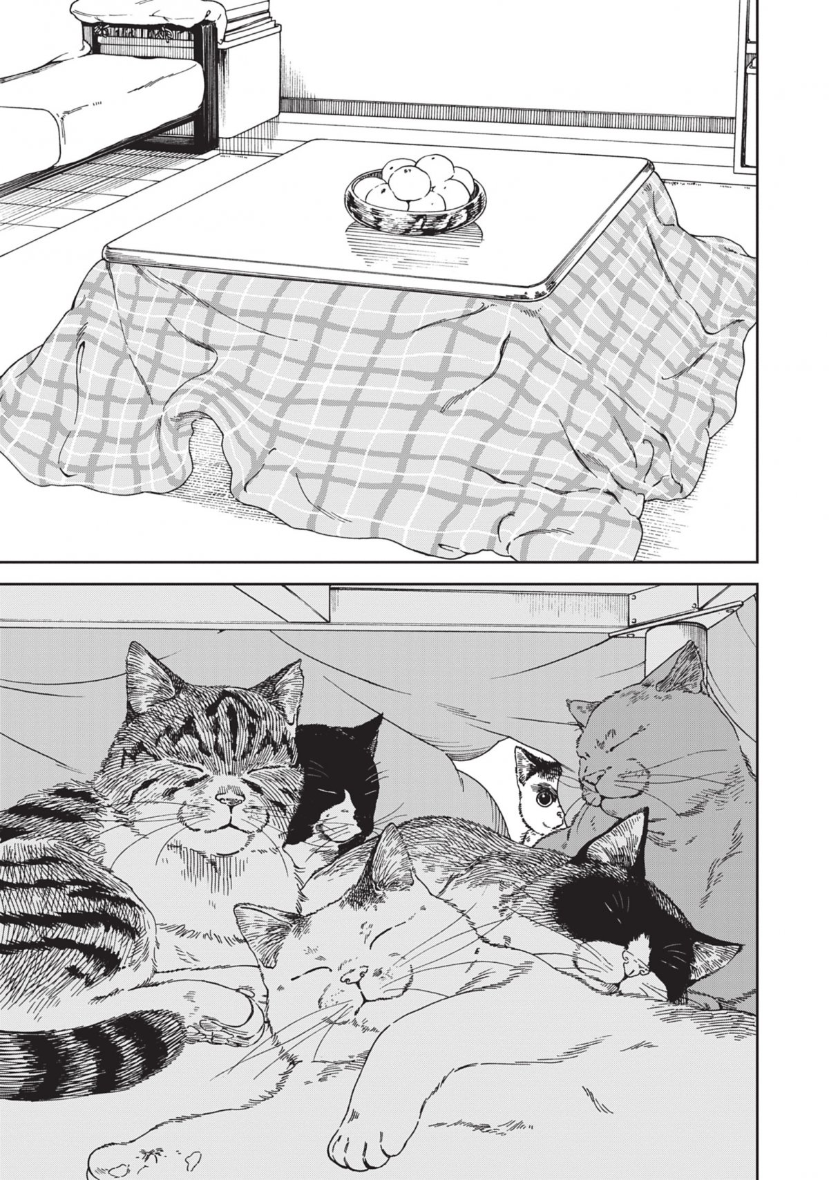 Fille du Temple aux Chats (La) 7 - Extrait 1