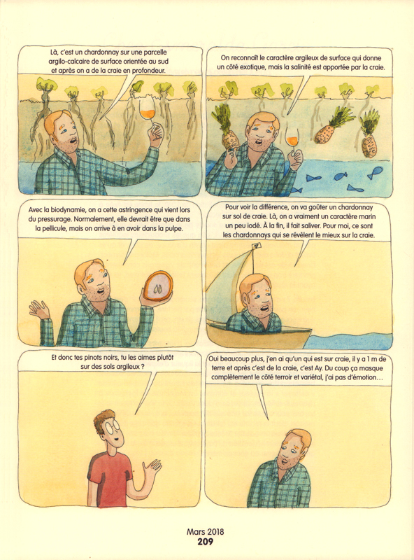 Vinification nature (La) - Extrait 1