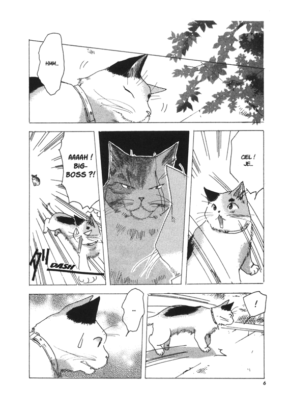 Miaou ! Big-Boss le magnifique 4 - Extrait 1