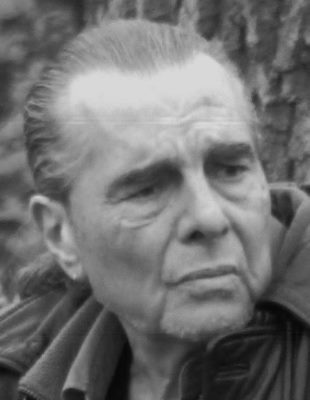 Richard Appignanesi - Auteur