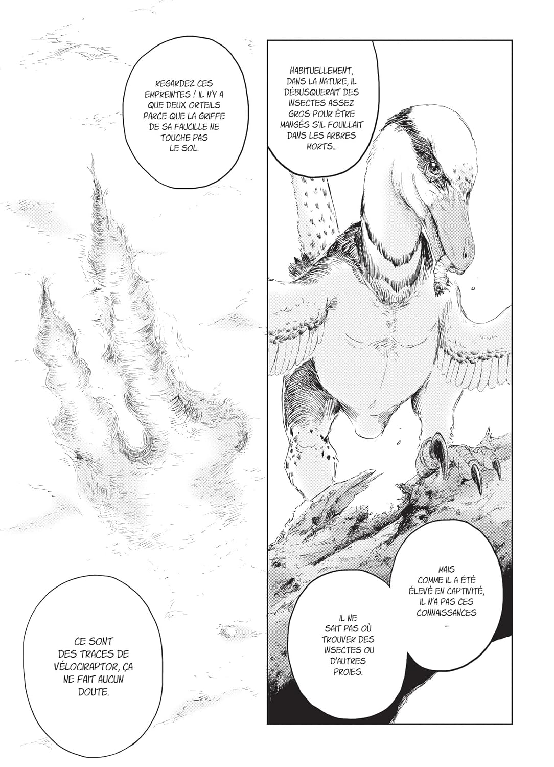 Dinosaurs sanctuary 4 - Extrait 1