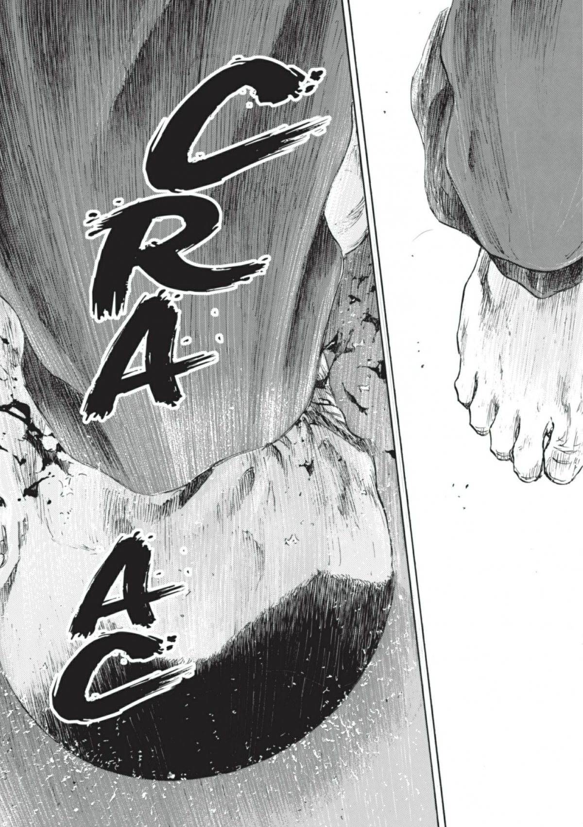 Coq de combat 25 - Extrait 1