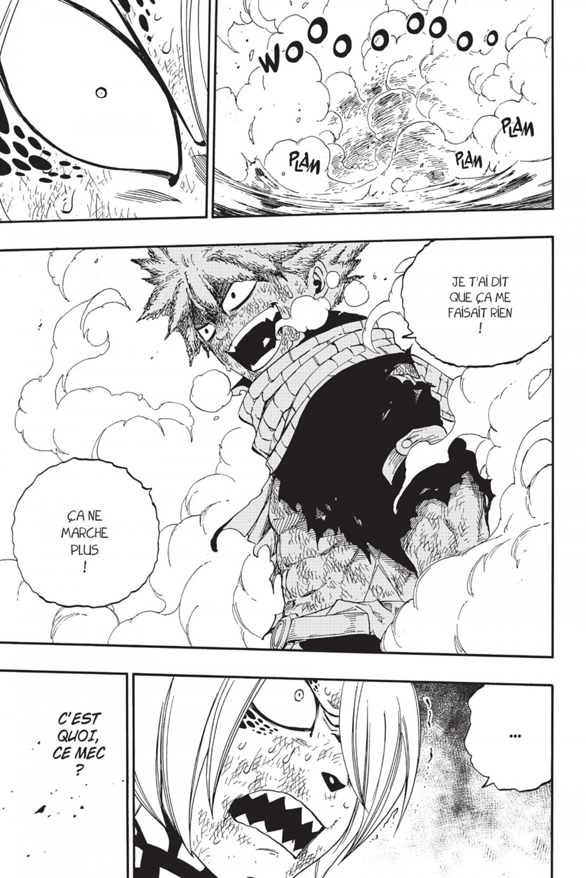 Fairy Tail 43 - Extrait 1