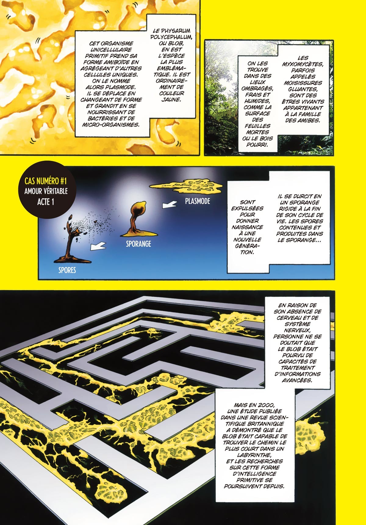 Hitomoji 1 - Extrait 1